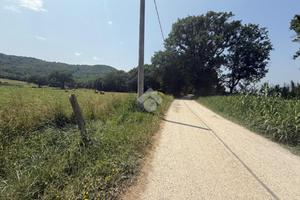 TER. AGRICOLO A ORTE