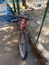  mtb Lee cougan