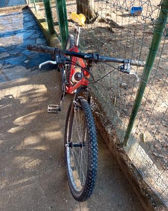  mtb Lee cougan