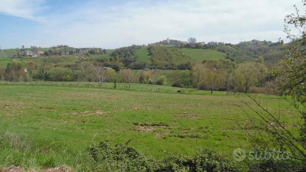 Terreno Agricolo - Montefiore dell'Aso