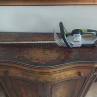 tagliasiepi a batteria 