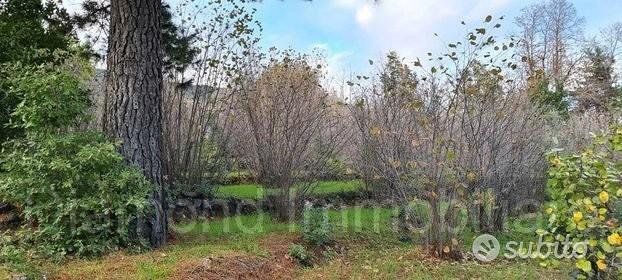 Terreno 22.260 mq con rustici a sant'alfio - Vista 5
