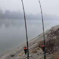 Canne milo catfish+picchetti