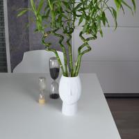 Vaso Moderno Faccia Minimalista - Bianco