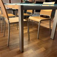 Sedie in legno e metallo Calligaris