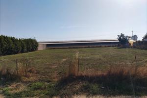 Terreno edificabile