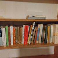 Letture tedesche e in tedesco prima del XXI secolo