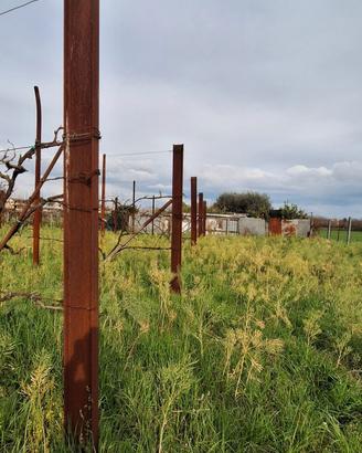 Putrelle e tubi in ferro