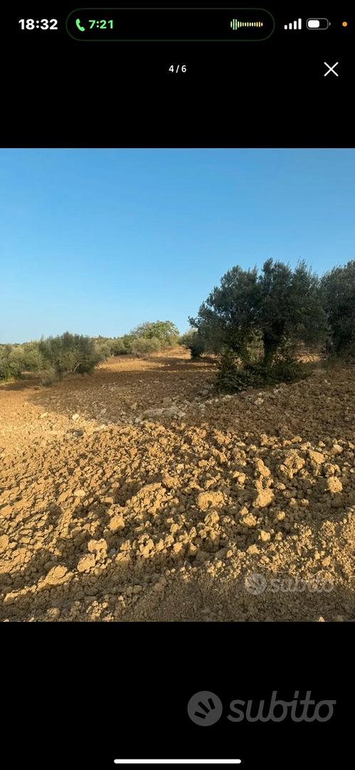 Terreno edificabile nella natura - Vista 4