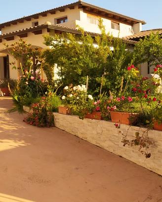 Casa vacanza camere posti letto