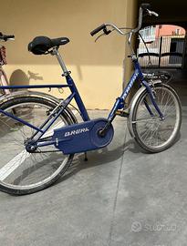 Bicicletta pieghevole