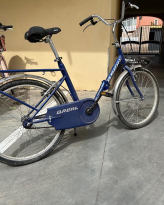 Bicicletta pieghevole