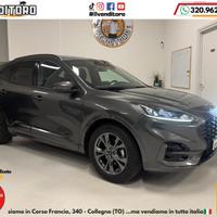 FORD Kuga 2.0 EcoBlue 120 CV aut. AWD ST-Line