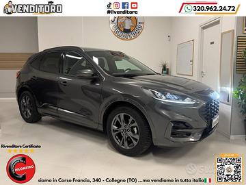 FORD Kuga 2.0 EcoBlue 120 CV aut. AWD ST-Line