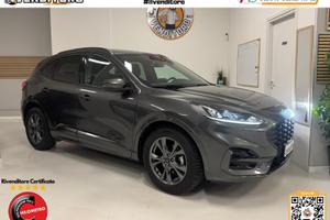FORD Kuga 2.0 EcoBlue 120 CV aut. AWD ST-Line