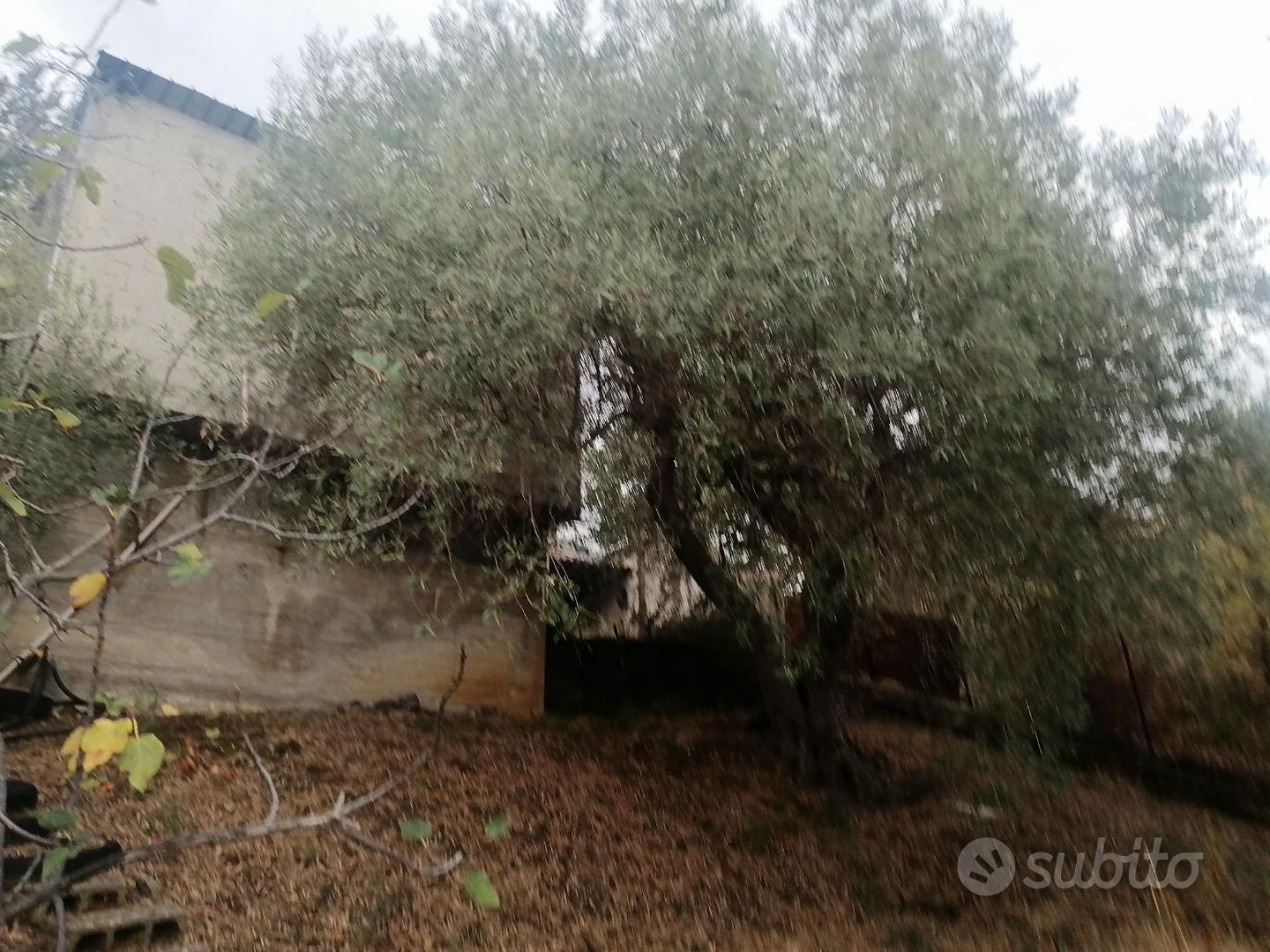 Terreno con rustico - Vista 3