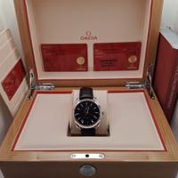 Omega Aqua terra 220.13.41.21.01.001