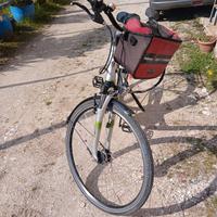 bici elettrica assistita 