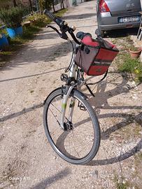 bici elettrica assistita 