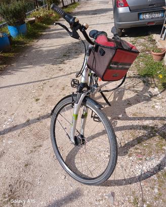 bici elettrica assistita 
