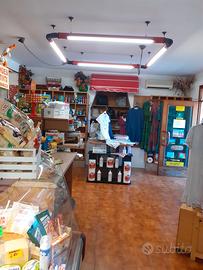 mini market tabaccheria 
