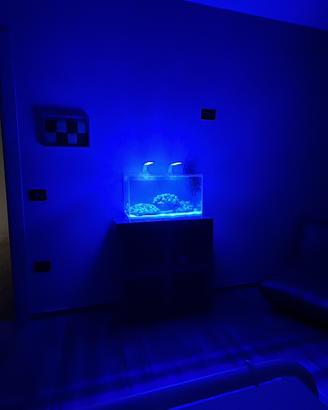 Acquario Marino PREZZO TOP