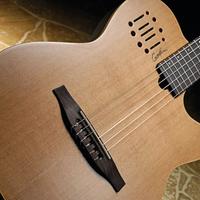 Godin multiac encore