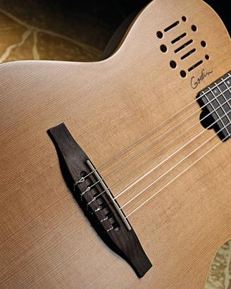 Godin multiac encore