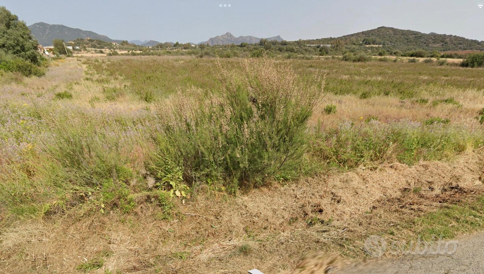 Terreno agricolo Pula Cagliari - Vista 4