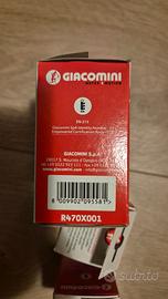 Testate termostatiche Giacomini