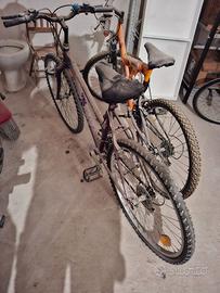 bicicletta