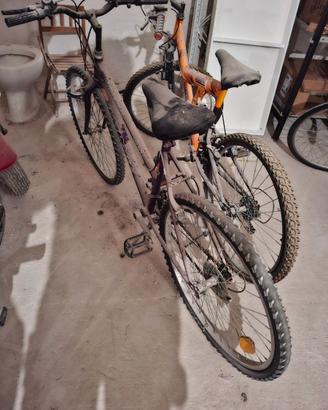 bicicletta