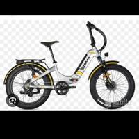 bici elettrica 