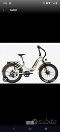bici elettrica 