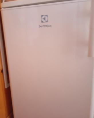 Frigo con cella frigorifera Electrolux 