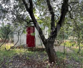 Terreno Agricolo Ostuni [Cod. rif 3152242VCG]