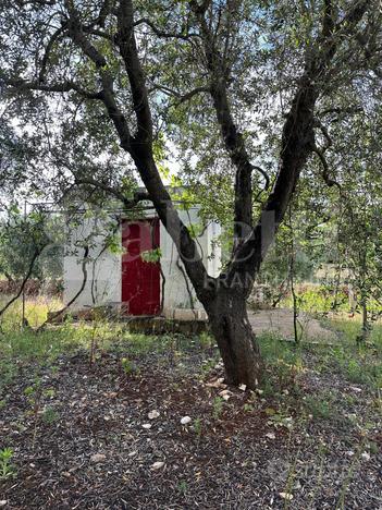 Terreno Agricolo Ostuni [Cod. rif 3152242VCG]