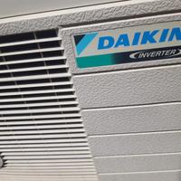  Due motori Daikin