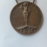 Medaglia Conflitto 1915/1918