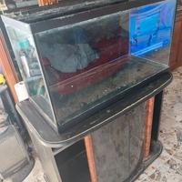 Acquario  150 litri circa