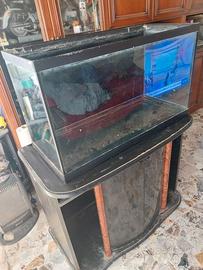 Acquario  150 litri circa