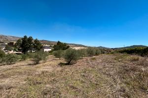 Campagna 8 tumuli
