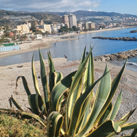 Trilocale Arma di Taggia