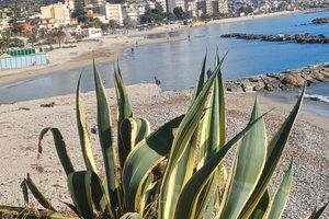 Trilocale Arma di Taggia