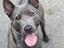 Immagine 2