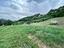 Immagine 19