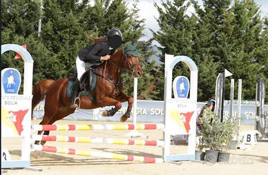 Pony femmina da salto ostacoli