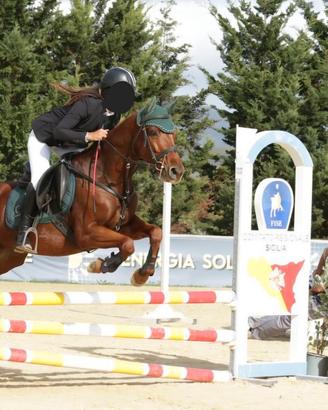 Pony femmina da salto ostacoli