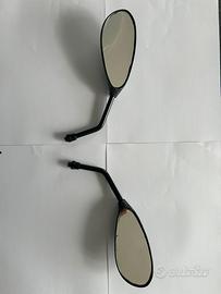 Coppia specchietti  retrovisori carbon look