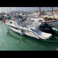 Hellas boat 23, Mercury 150 CV + carrello
